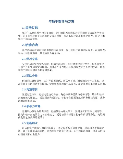 年轻干部活动方案