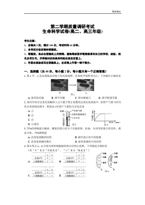 2020年高考生物二模试卷及答案