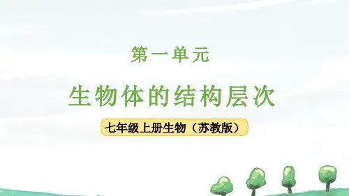 2024年新苏教版七年级上册生物课件 第2章 生物体的组成 第1节 细胞的分裂和分化 