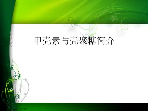 甲壳素与壳聚糖简介课件