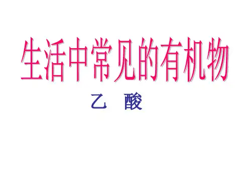 乙酸课件新版