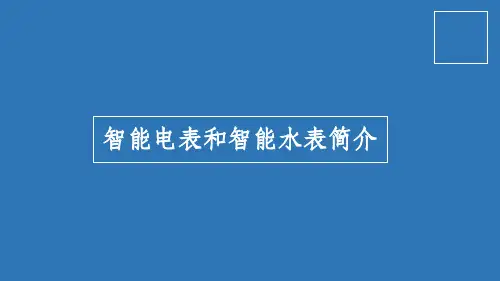 智能电表和智能水表ppt课件