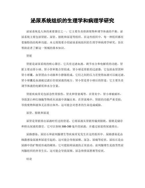 泌尿系统组织的生理学和病理学研究