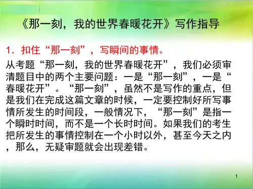 作文那一刻写作指导ppt课件