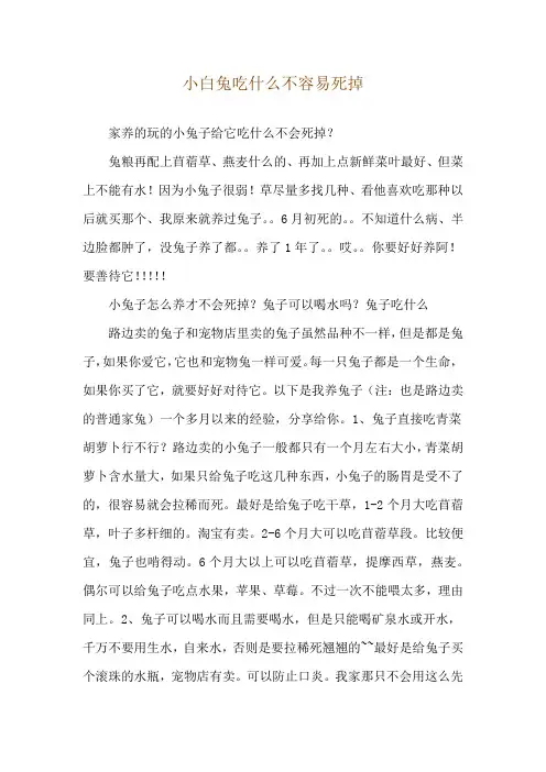 小白兔吃什么不容易死掉