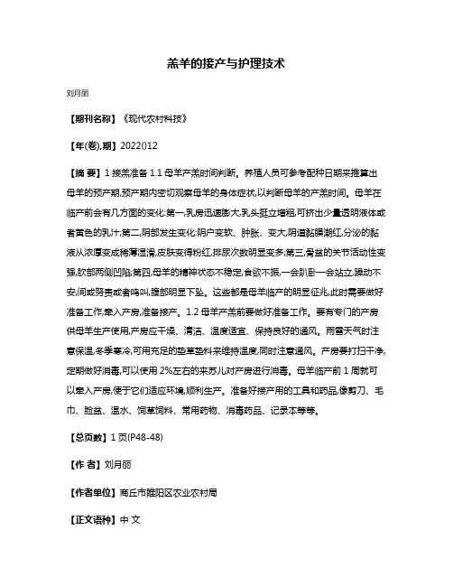 羔羊的接产与护理技术