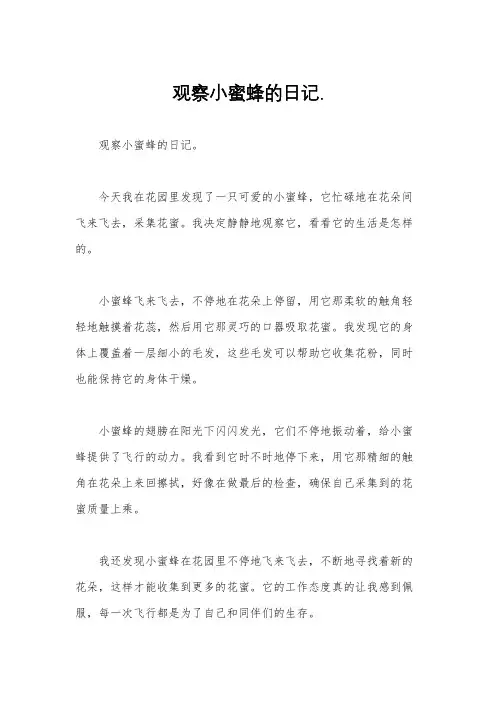 观察小蜜蜂的日记.
