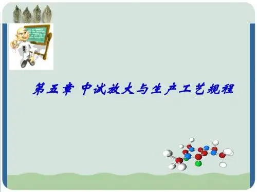 中试放大与生产工艺规程PPT课件( 42页)