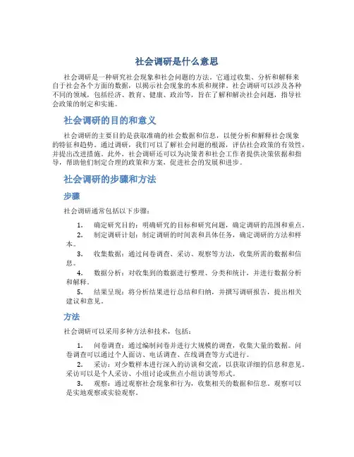 社会调研是什么意思