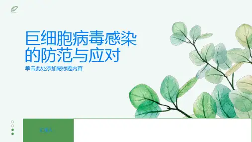 巨细胞病毒感染是什么如何防范与应对