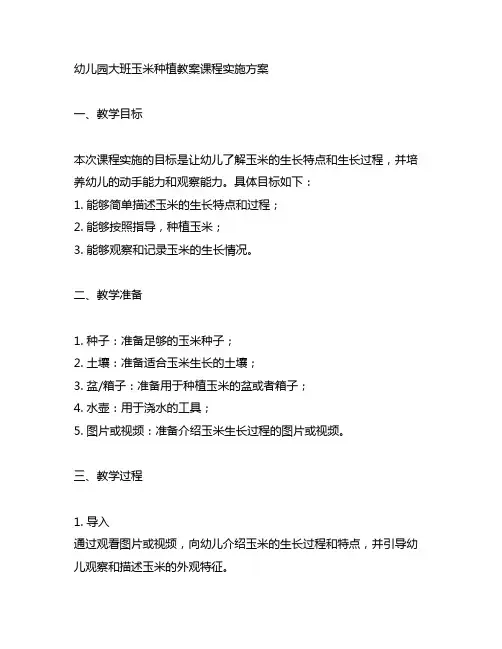 幼儿园大班玉米种植教案课程实施方案 幼儿园植物种植