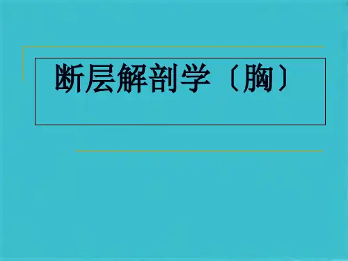 断层解剖胸部(共79张PPT)