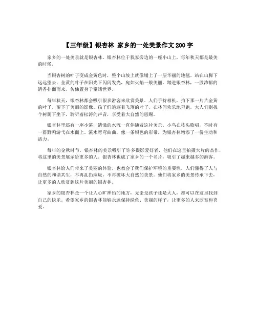【三年级】银杏林 家乡的一处美景作文200字