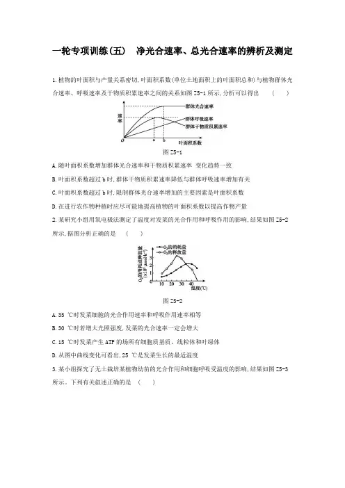 一轮专项训练(5) 净光合速率、总光合速率的辨析及测定(含答案详解)