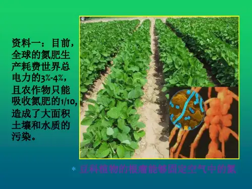 《基因工程及其应用》ppt.ppt