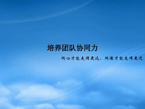 如何培养团队协同力PPT56页