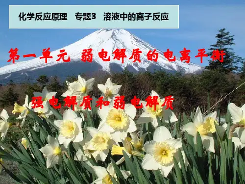 3.1.1-强弱电解质