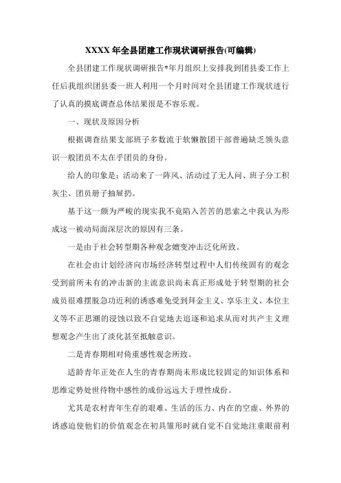 XXXX年全县团建工作现状调研报告(可编辑).doc