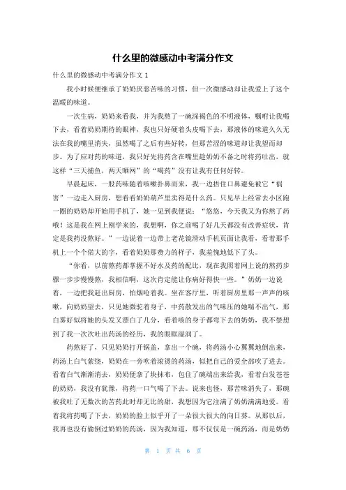 什么里的微感动中考满分作文