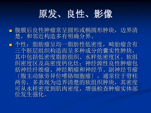 腹膜后CT诊断学