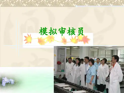 ISO9001质量管理体系：案例分析