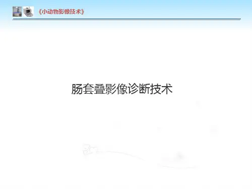 【小动物影像技术课件】肠套叠影像诊断技术