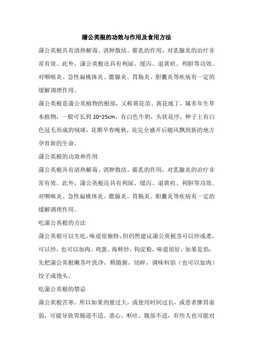 蒲公英根的功效与作用及食用方法
