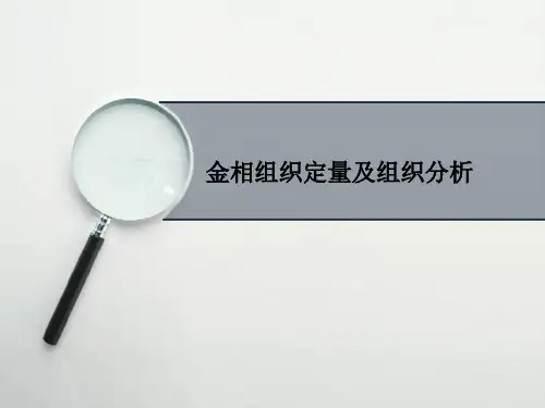 金相组织定量分析(PPT34页)