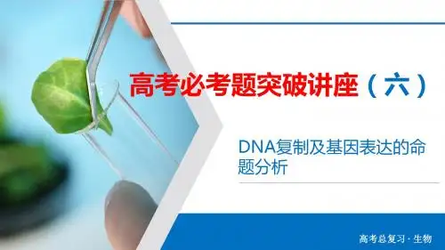 2020高考生物必考题突破讲座 DNA 复制及基因表达的命题分析(共33张PPT)
