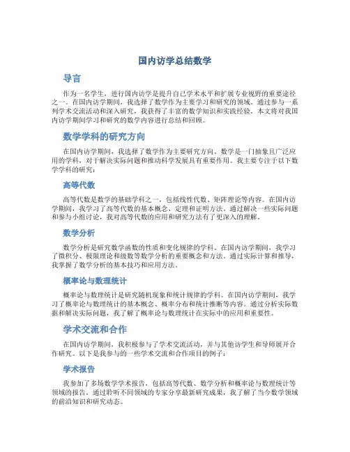 国内访学总结数学