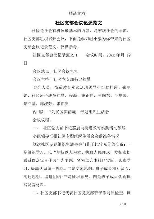 社区支部会议记录范文