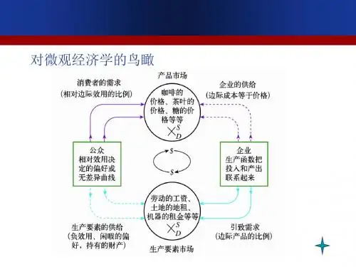 第十三章 市场失灵与微观经济对策