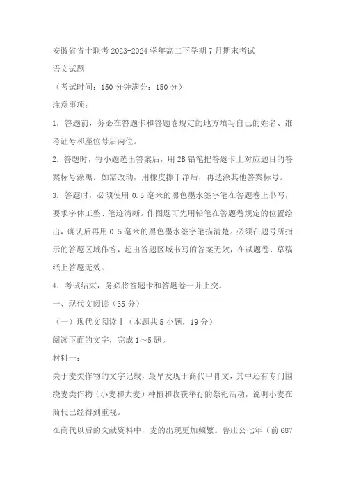安徽省省十联考2023-2024学年高二下学期7月期末考试语文试题(含解析)