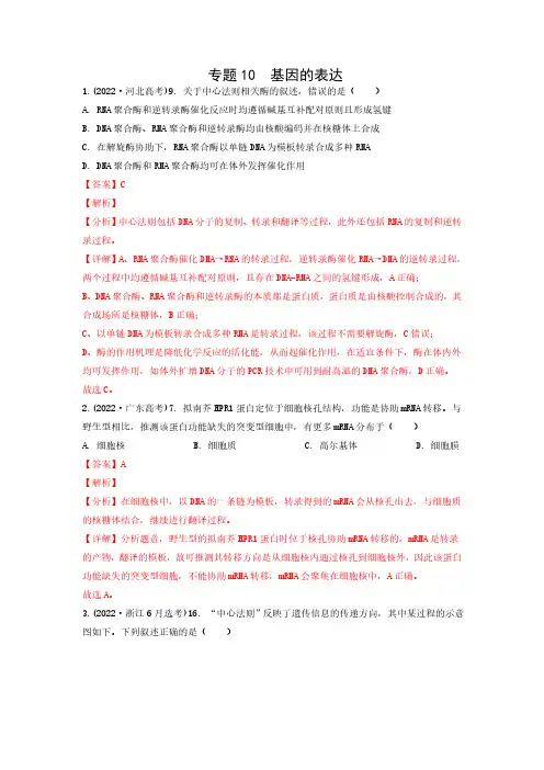 专题10  基因的表达(解析版) 