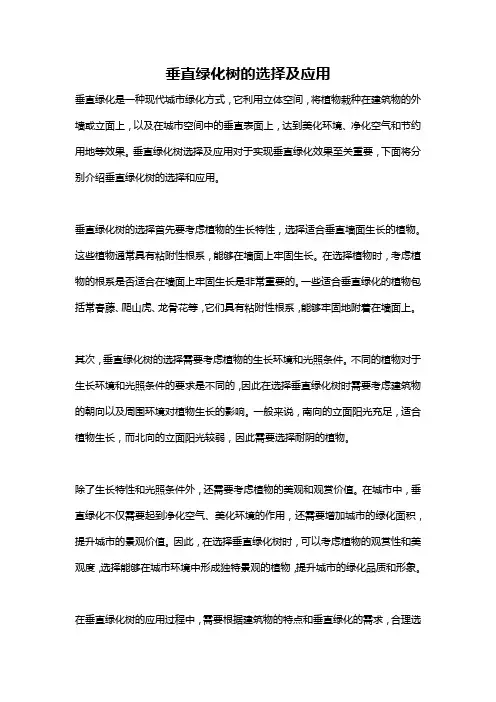 垂直绿化树的选择及应用