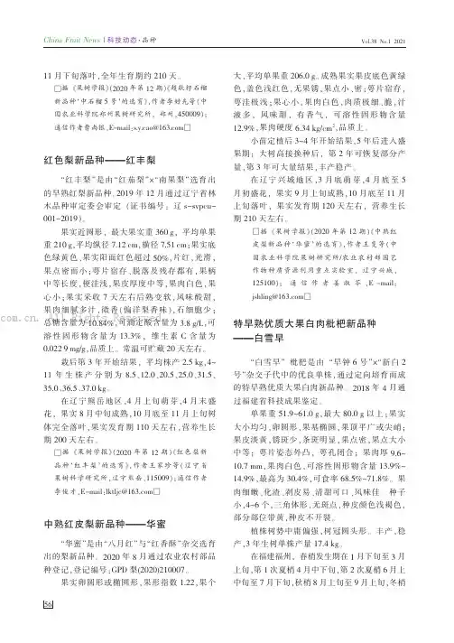 特早熟优质大果白肉枇杷新品种——白雪早