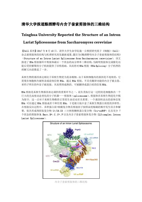 清华大学报道酿酒酵母内含子套索剪接体的三维结构Tsinghua