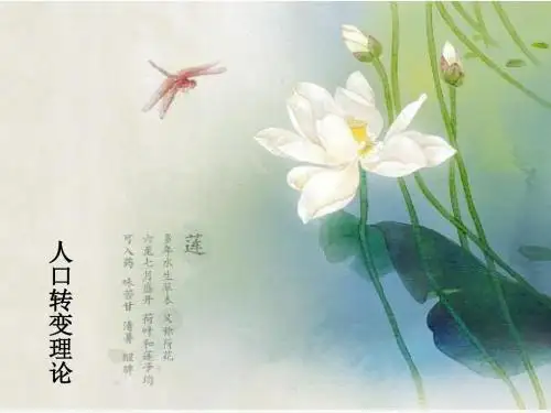 人口转变理论综述