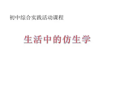 优质课一等奖初中综合实践活动《生活中的仿生设计》