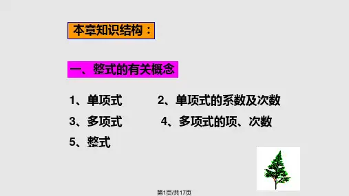 整式的运算复习课PPT课件