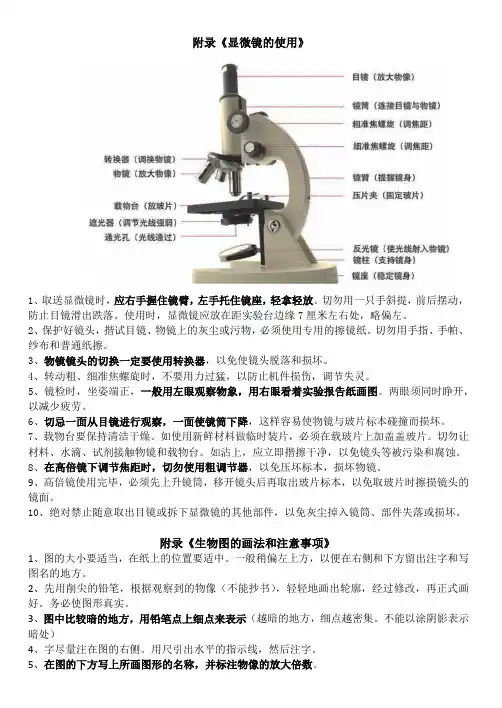 显微镜的使用要点以及生物图的画法