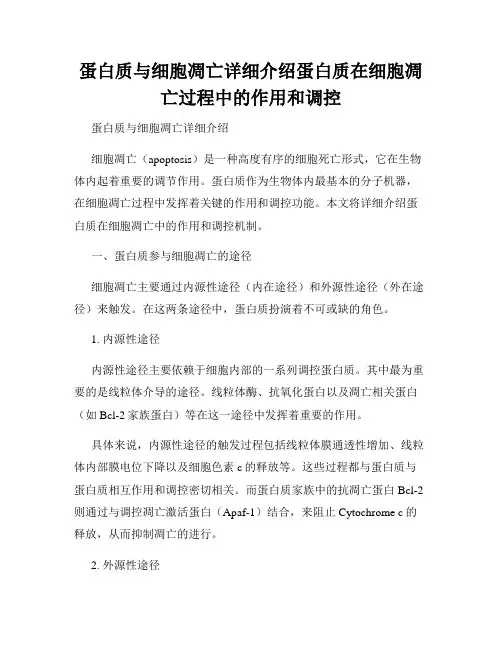 蛋白质与细胞凋亡详细介绍蛋白质在细胞凋亡过程中的作用和调控