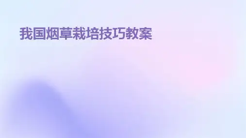 我国烟草栽培技巧教案