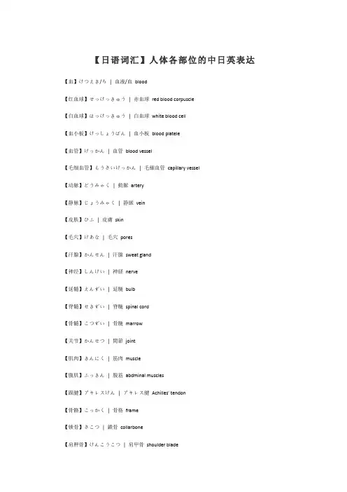 【日语词汇】人体各部位的中日英表达