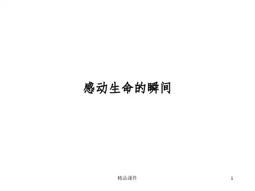 感动生命的瞬间ppt课件