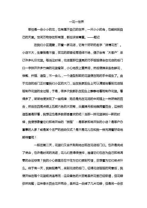 一花一世界