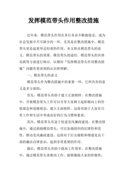 发挥模范带头作用整改措施