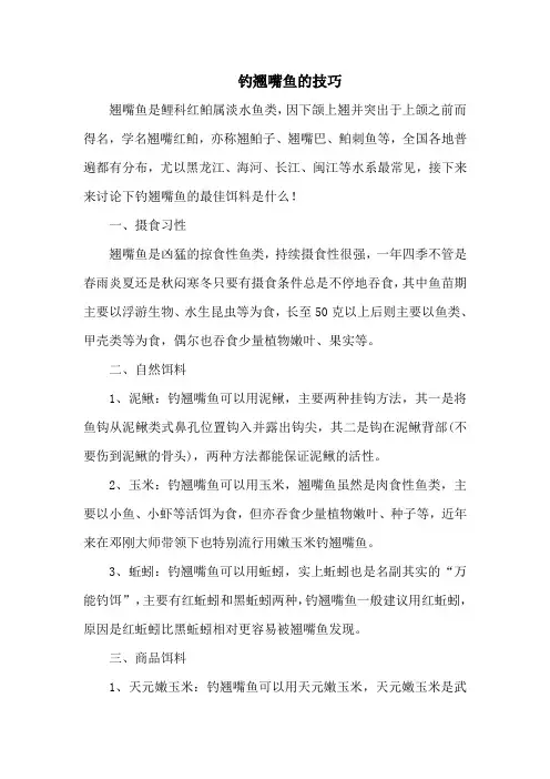 钓鱼技巧：钓翘嘴鱼的技巧