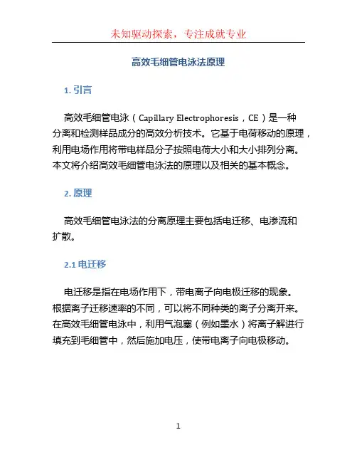 高效毛细管电泳法原理