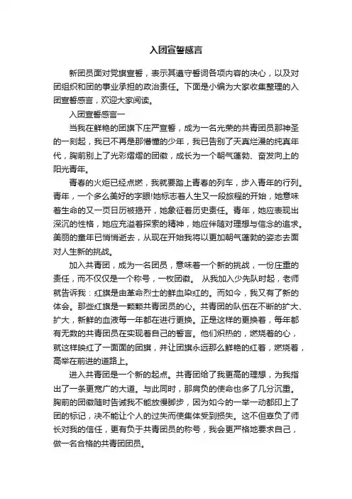 入团宣誓感言